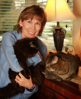 renton small business 1